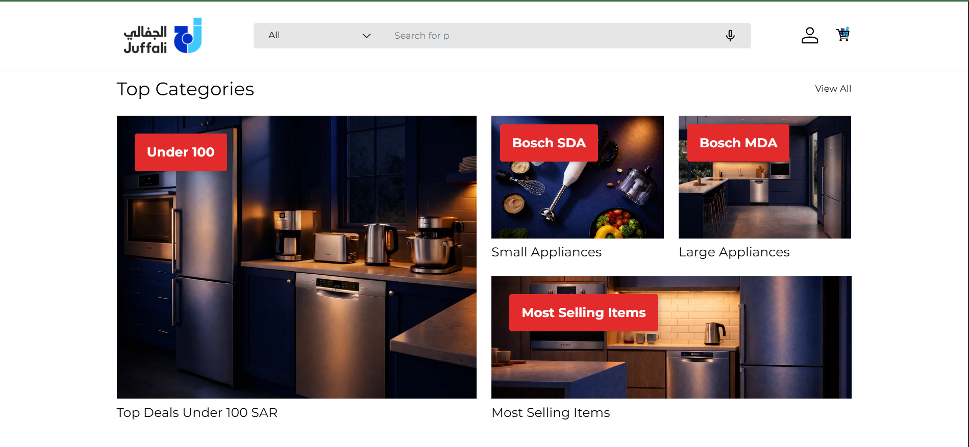 Live E-Commerce Website Example